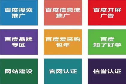 成功案例：百度推广代理助力电商突破